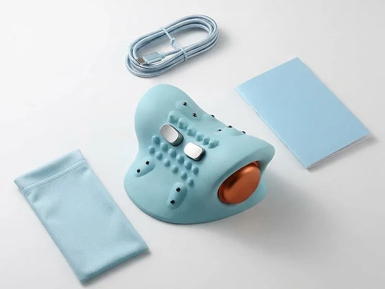 Cervical Traction & Acupressure Neck Device