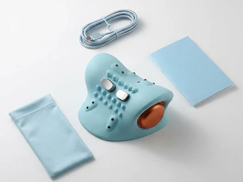 Cervical Traction & Acupressure Neck Device
